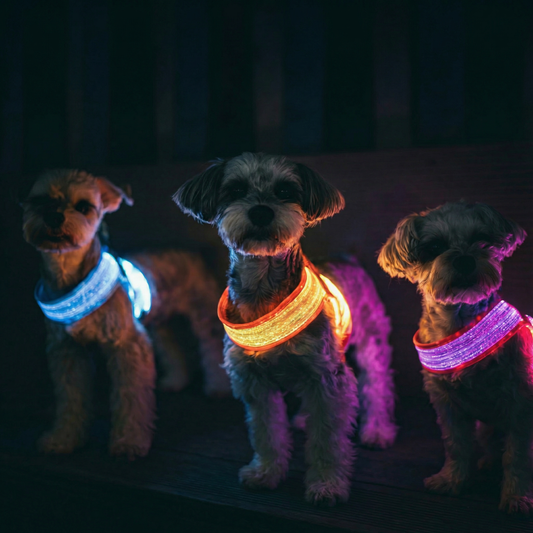 LED Dog Harness: Where Comfort Meets Style in Everyday Walks