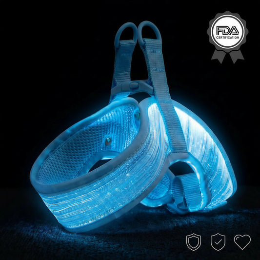 LED Dog Harness blue color